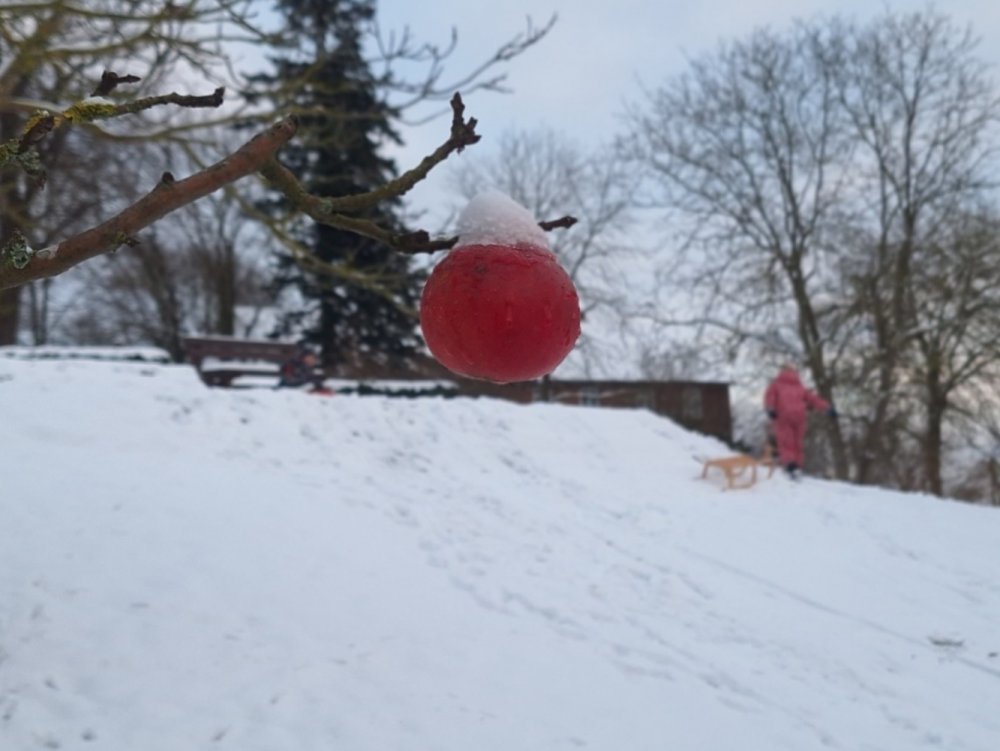 Gemeindebrief Dezember 2025 - Februar 2026